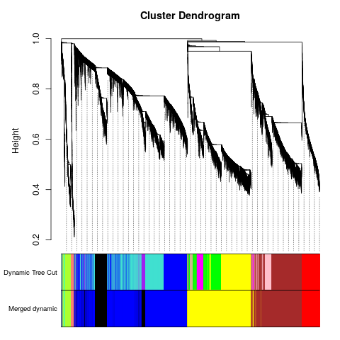 Cluster dendrogram with original and merged eigengenes