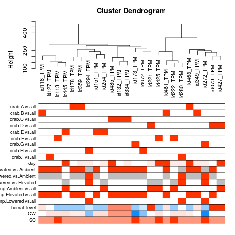 Sample dendrogram with condition