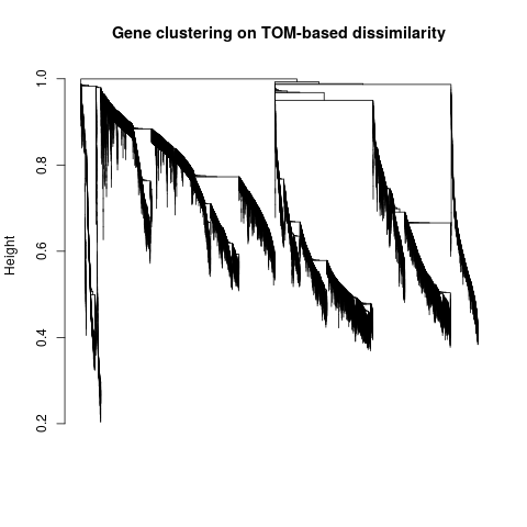 Gene clustering on TOM-based dissimilarity