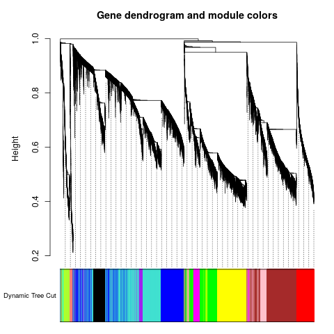 Gene dendrogram with module colors