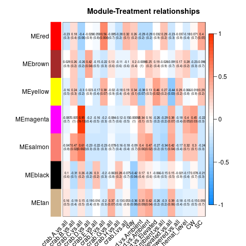 Unfiltered transcriptome