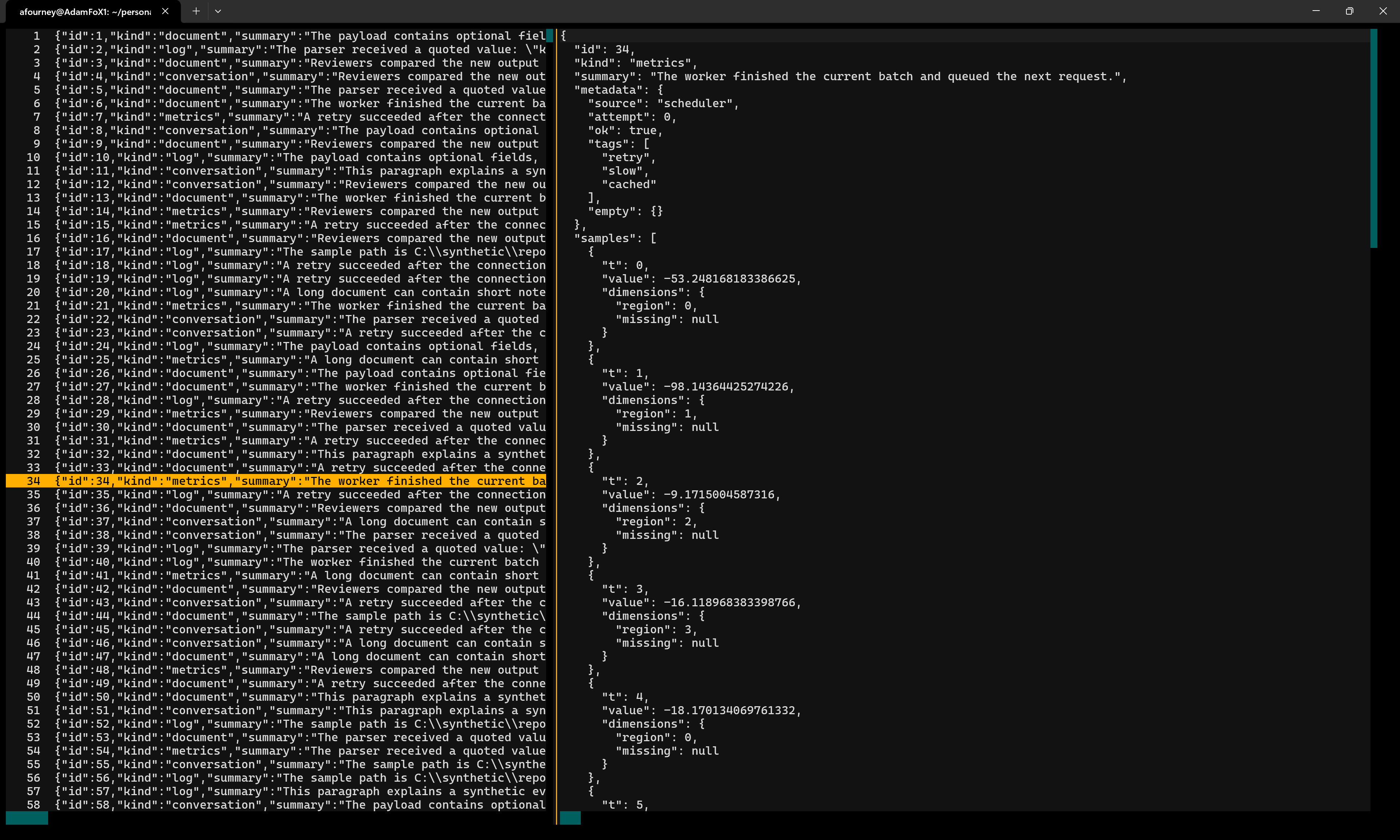 JSONL records in the left panel and the selected record's formatted JSON in the right panel