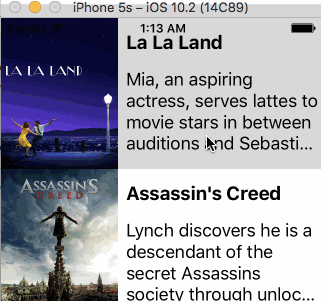 iOS Movie Viewer