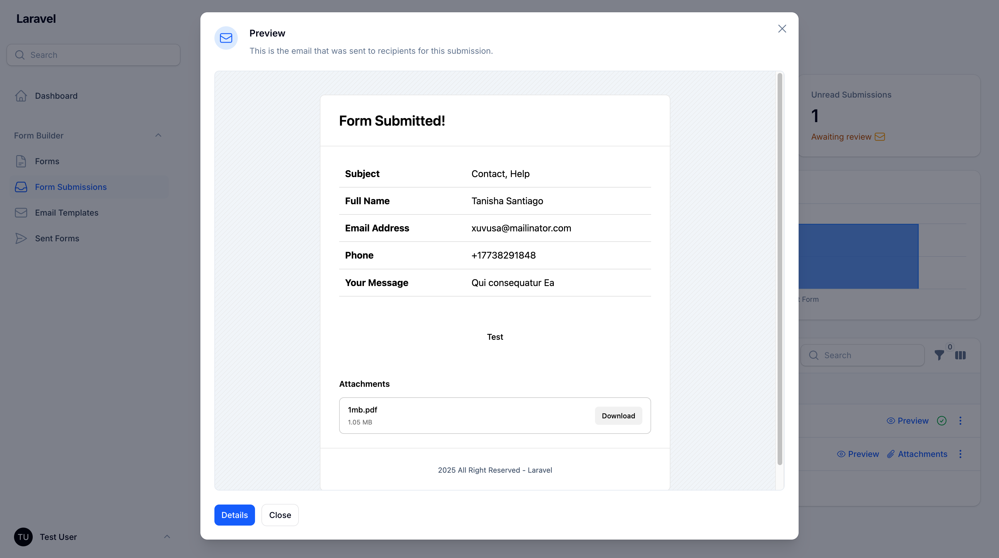Form Submissions Screenshot 2