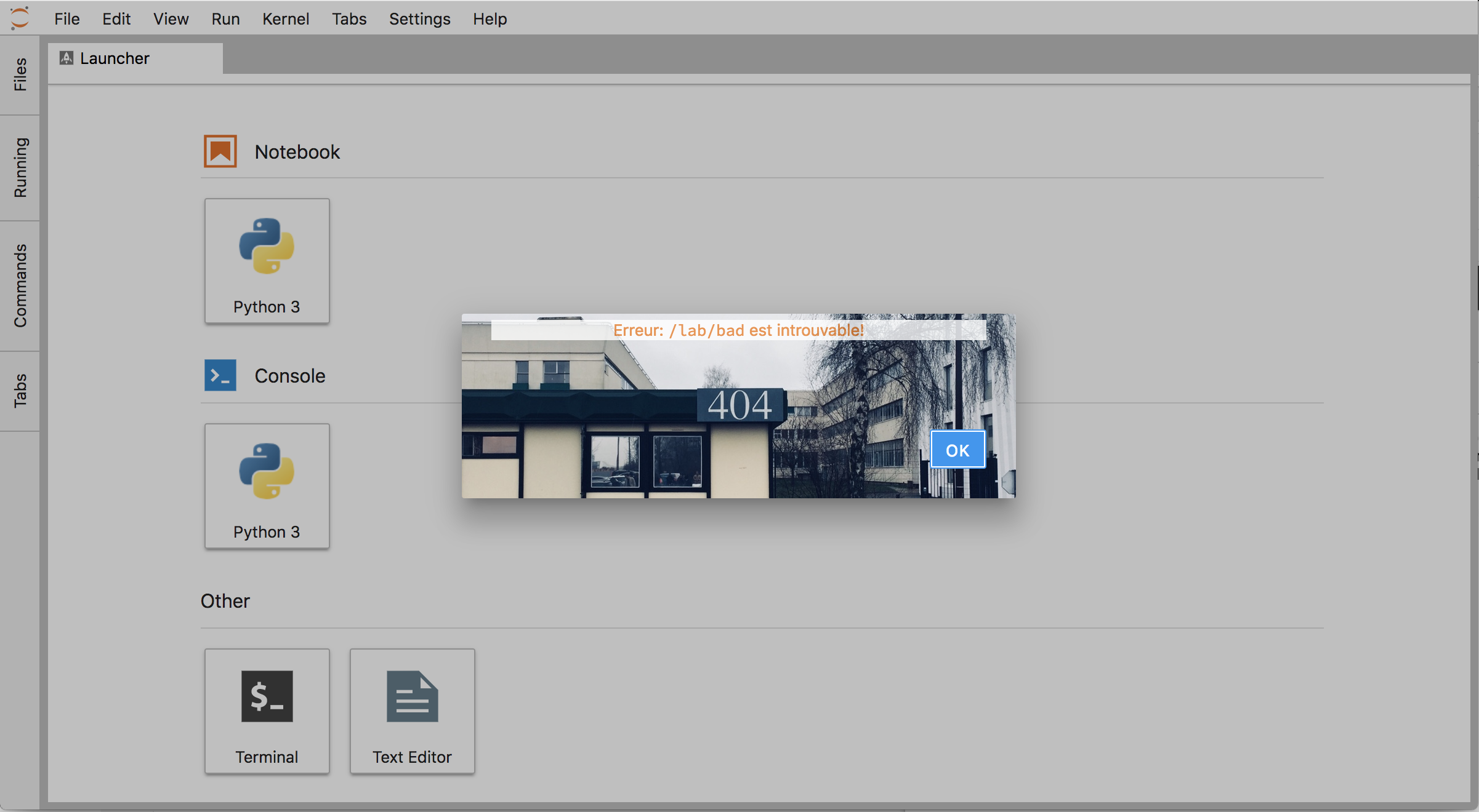 @afshin/custom404-extension screenshot