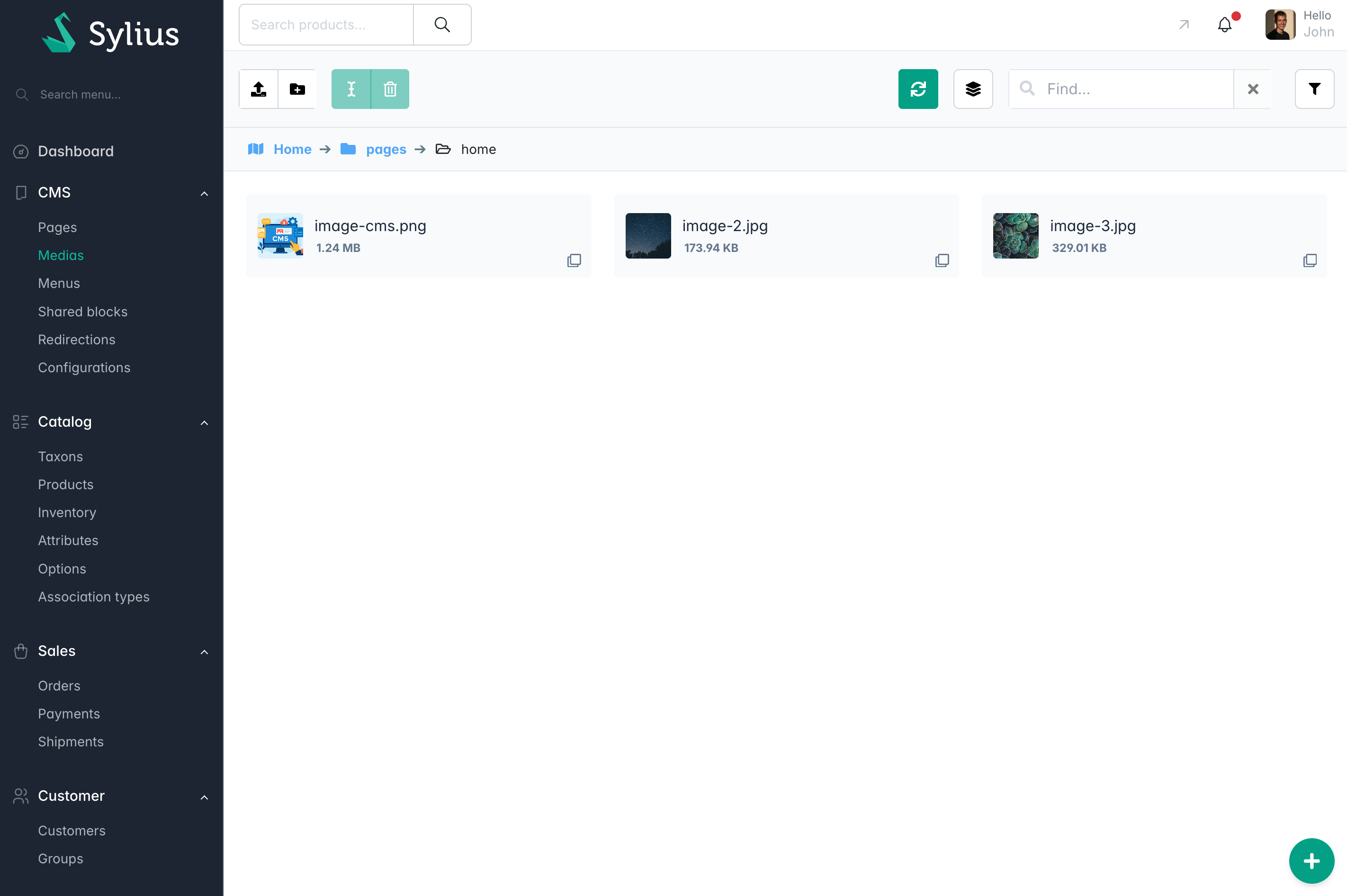 Sylius CMS media manager