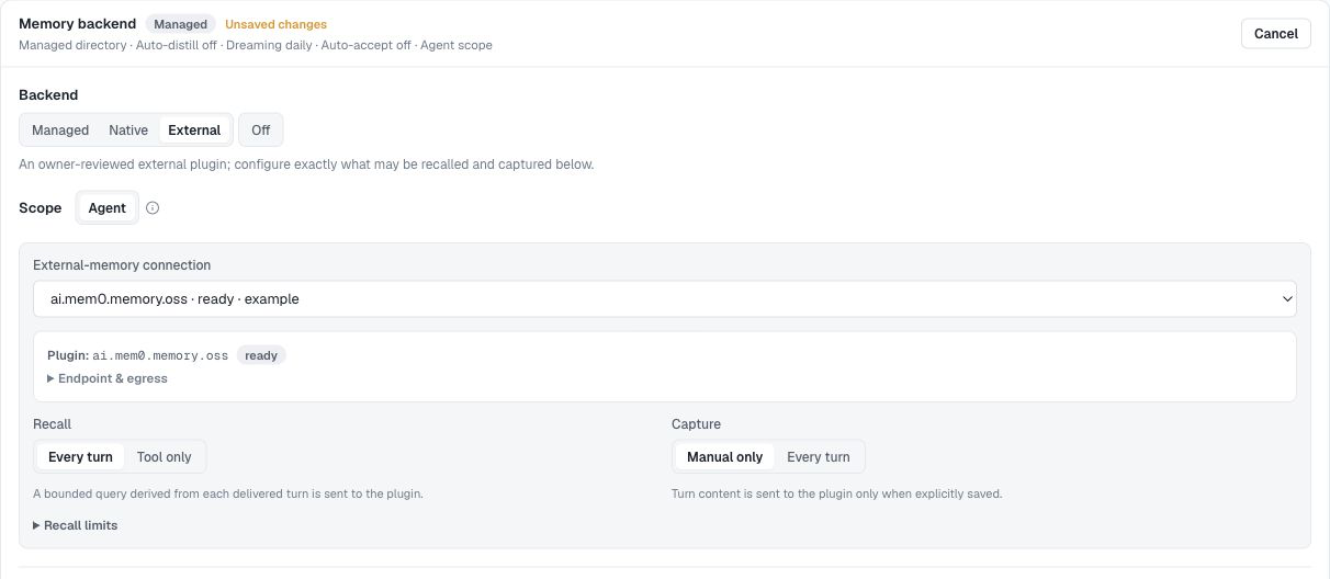 Choose external-memory recall and capture policy