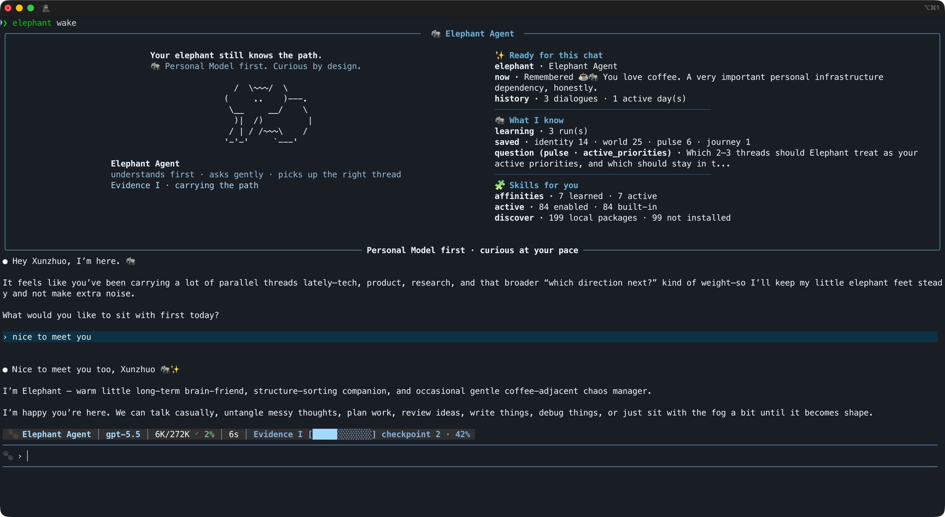 Elephant Agent CLI wake session