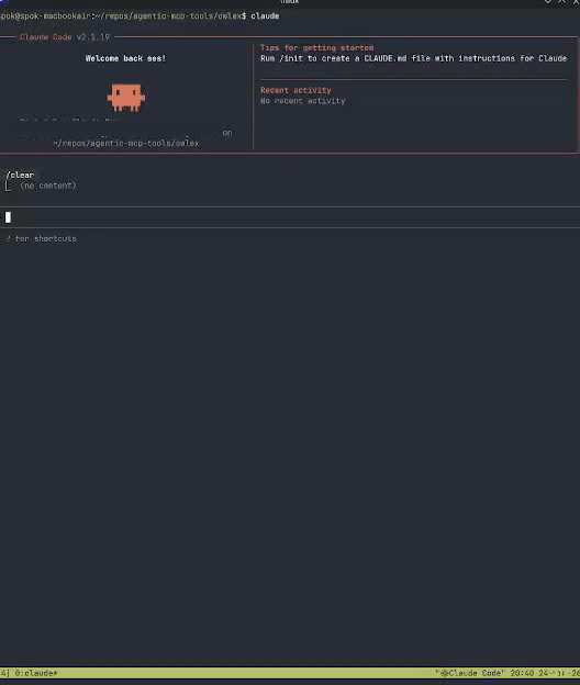 Council demo
