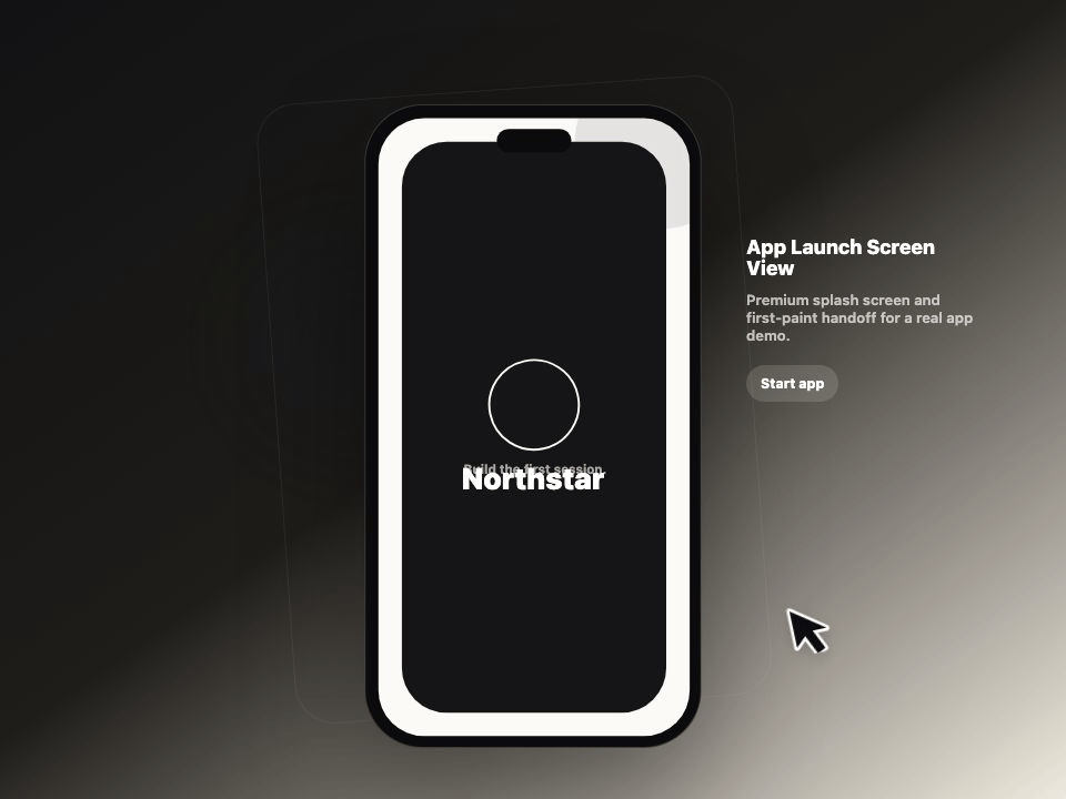 App Launch Screen View animated demo
