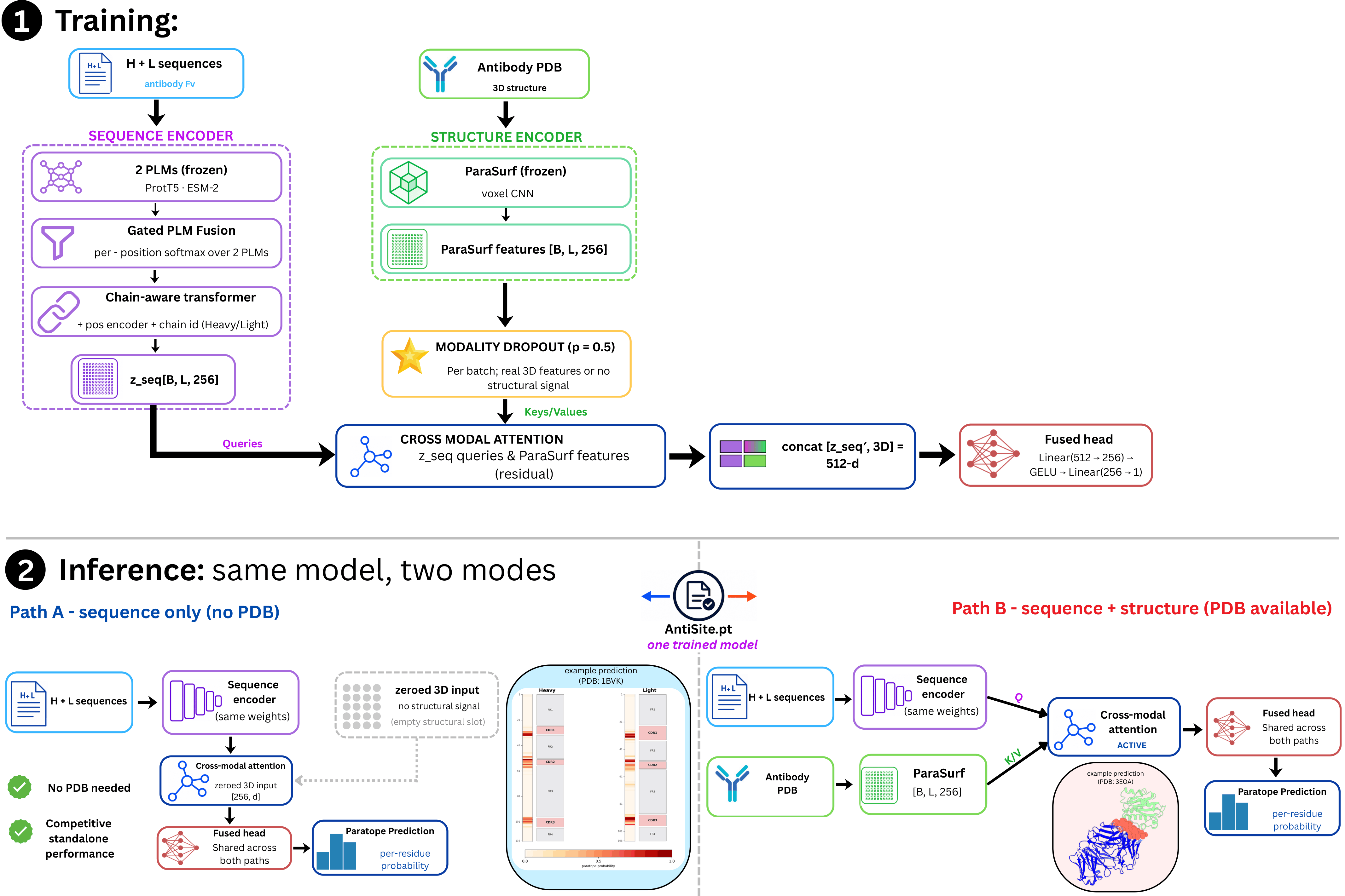 AntiSite overview