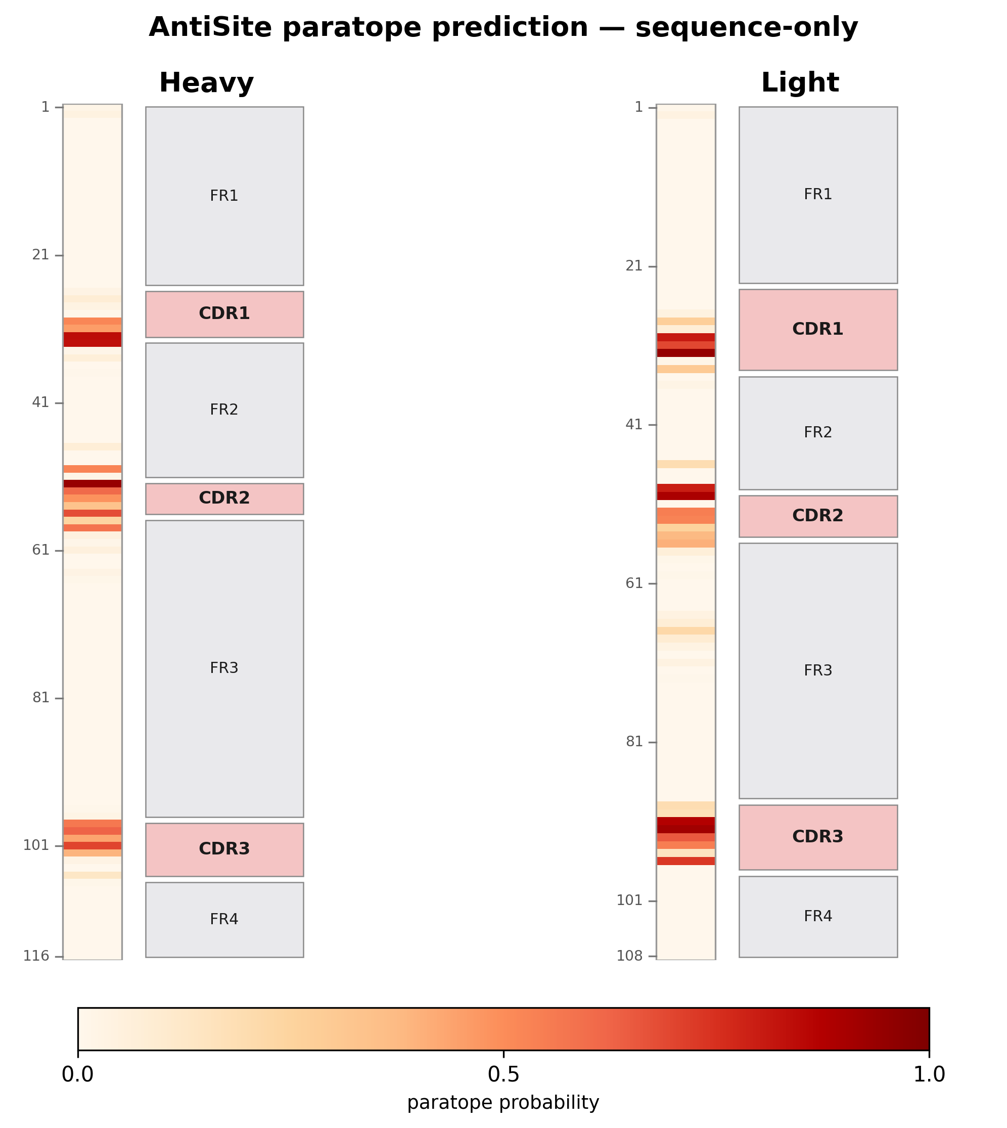 Sequence-only paratope prediction
