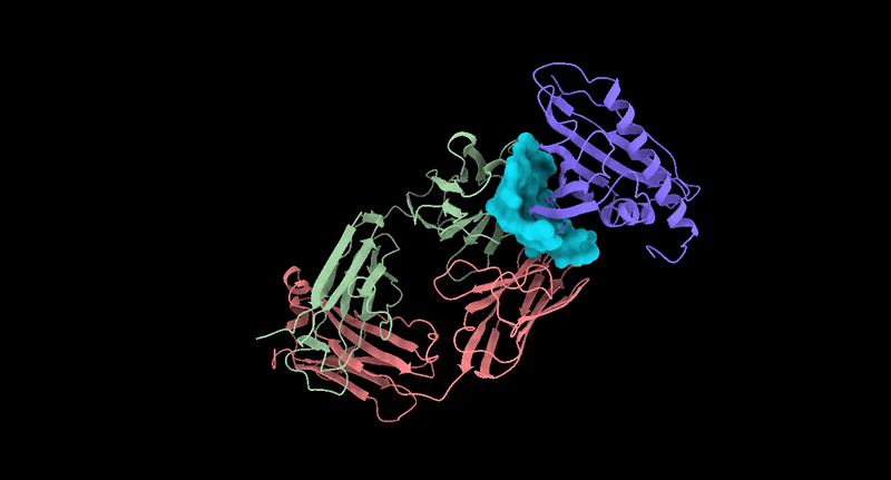 AntiSite 3D paratope prediction for PDB 1FSK