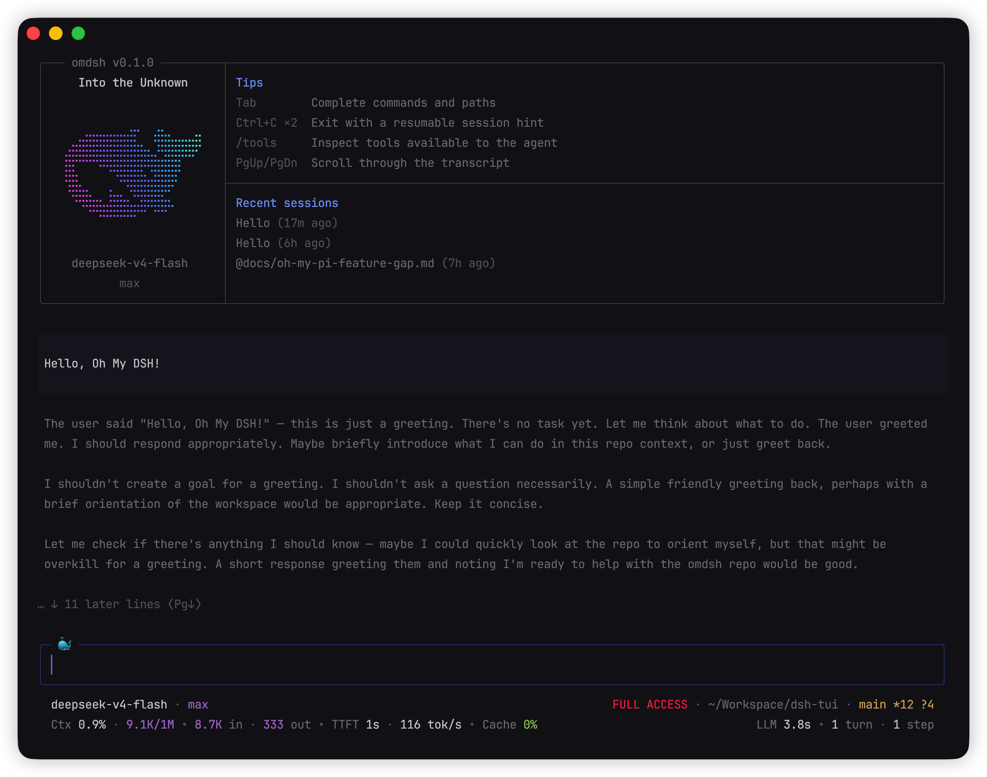 oh-my-dsh terminal interface