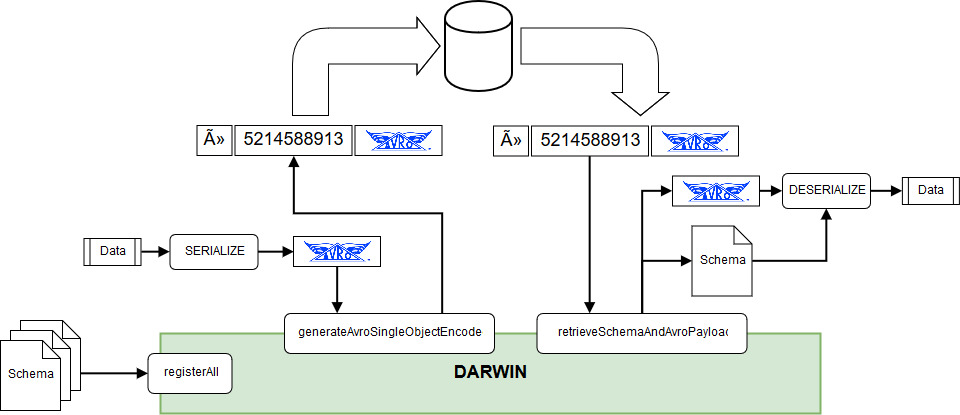 Darwin interaction