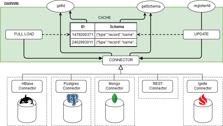 Darwin schema