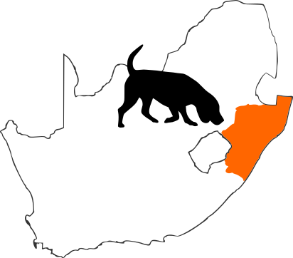 KZN Detection Dog