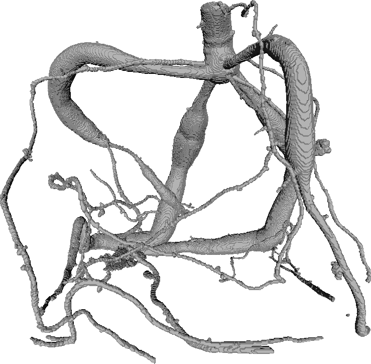 Example of 2017 model of Cassava