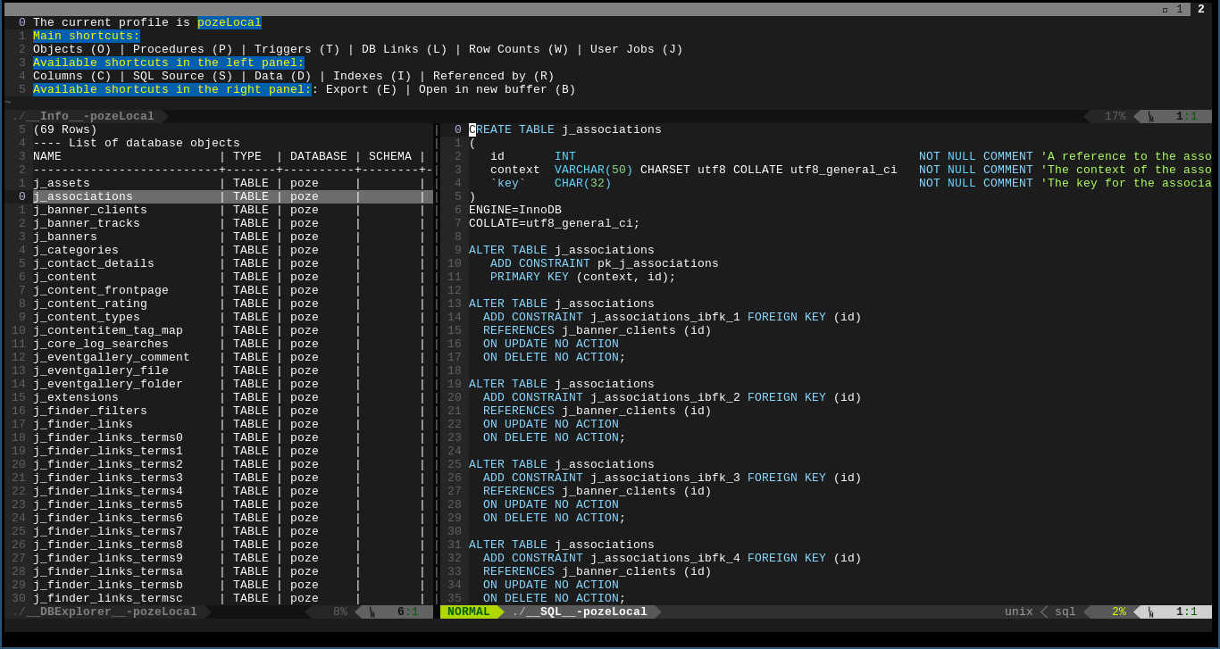 Database explorer source view