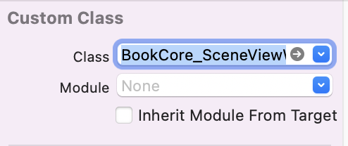 Custom Class set to BookCore_SceneViewWrapper, with Module None and Inherit Module From Target unchecked