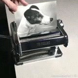 video as gif