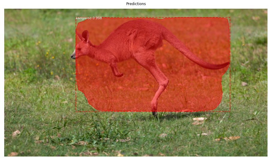 Kangaroo Test Image