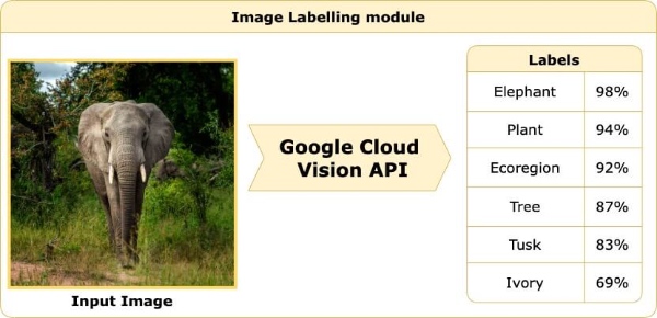 Image Labelling