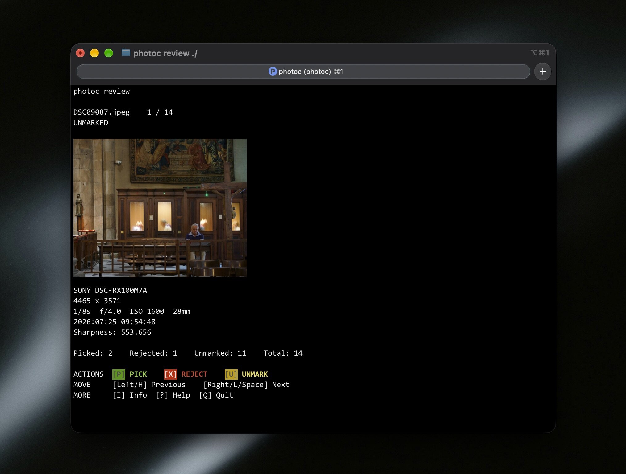 photoc review in a terminal, showing a photo with metadata and pick, reject, and unmark controls