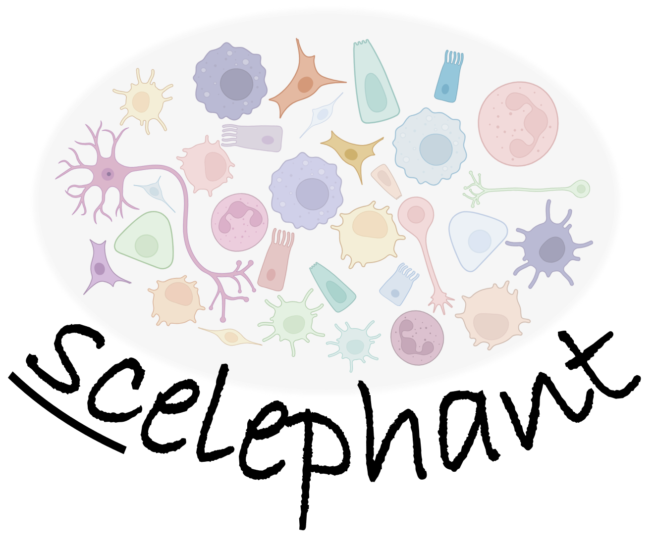 scelephant-logo