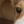 Low res doggy