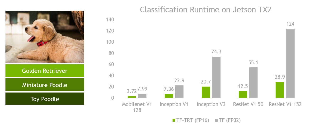 classification