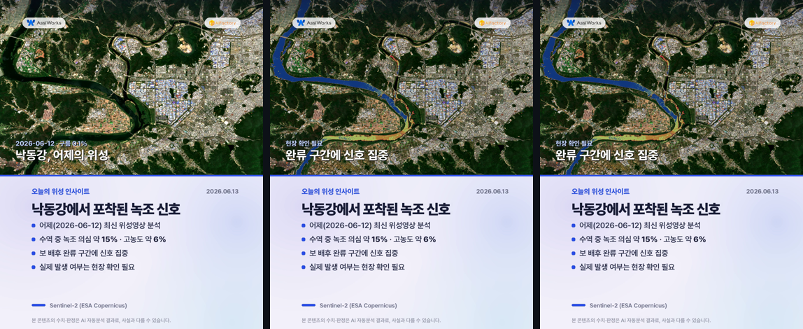 insight_nakdong_algae