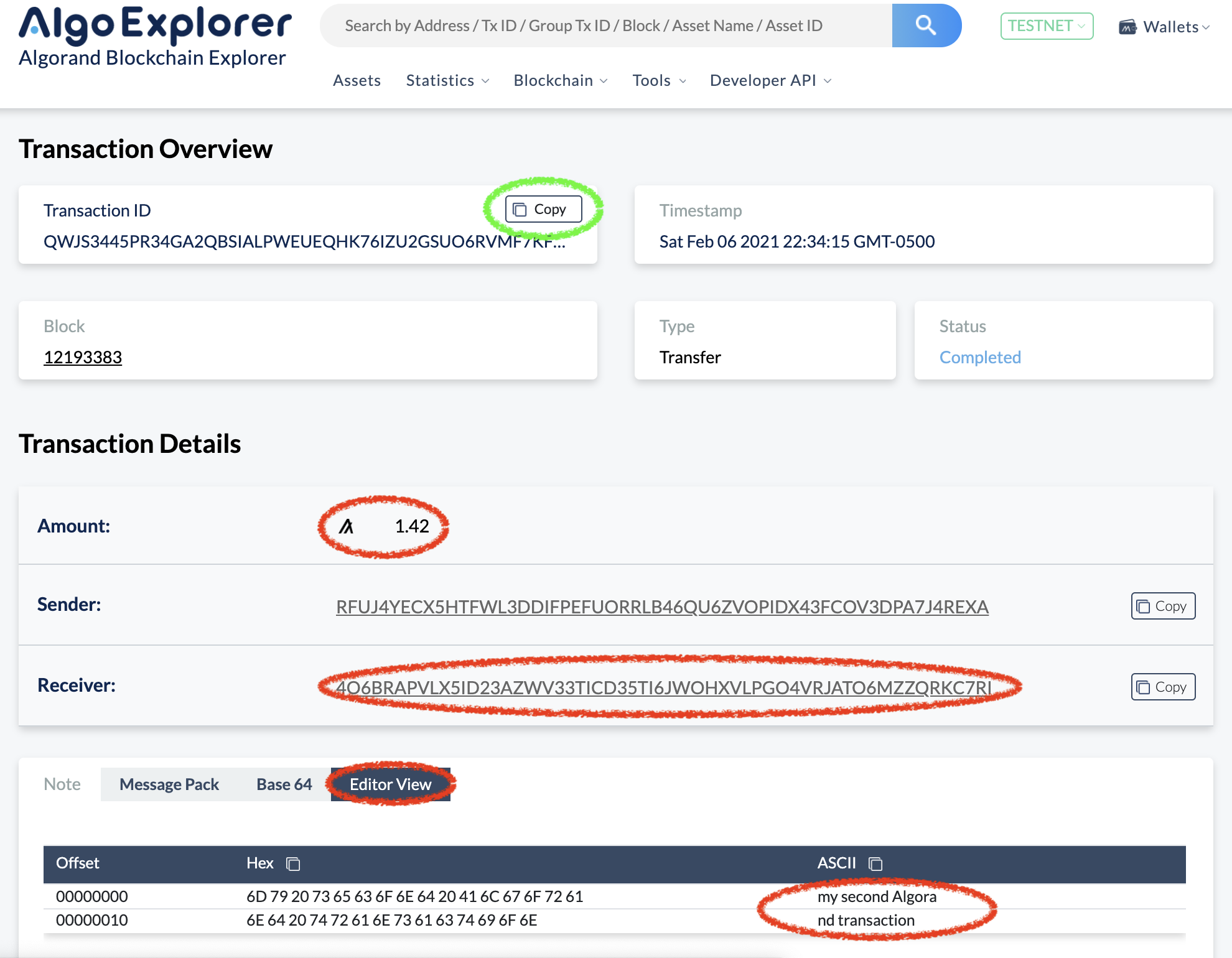 Screenshot of second transaction on AlgoExplorer