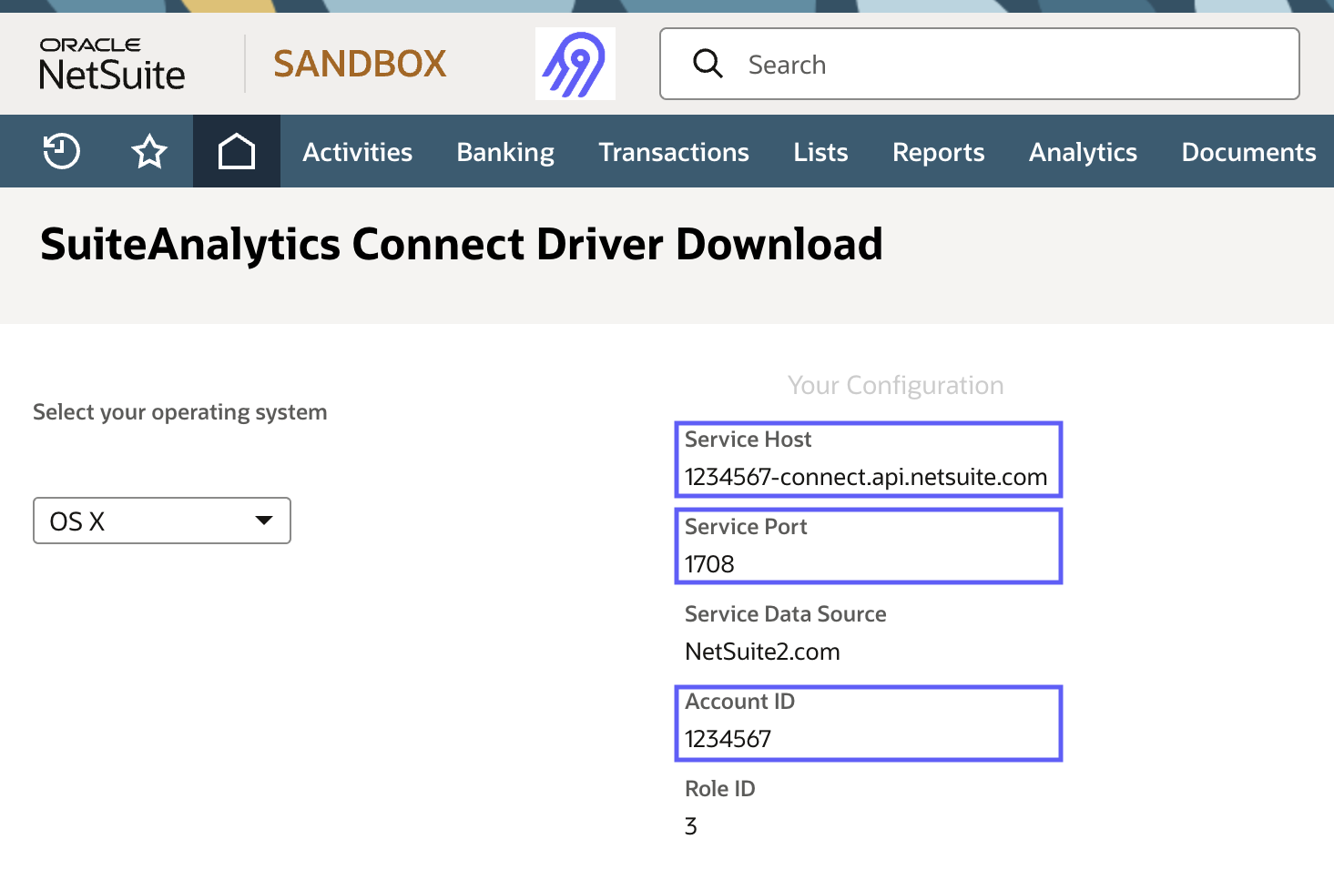 Netsuite Setup