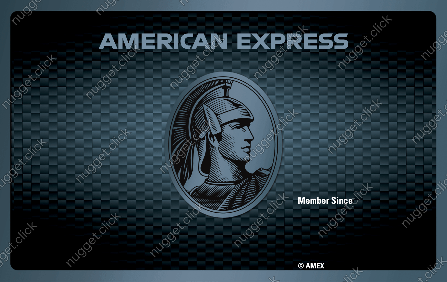 American Express Explorer(TM) Credit Card