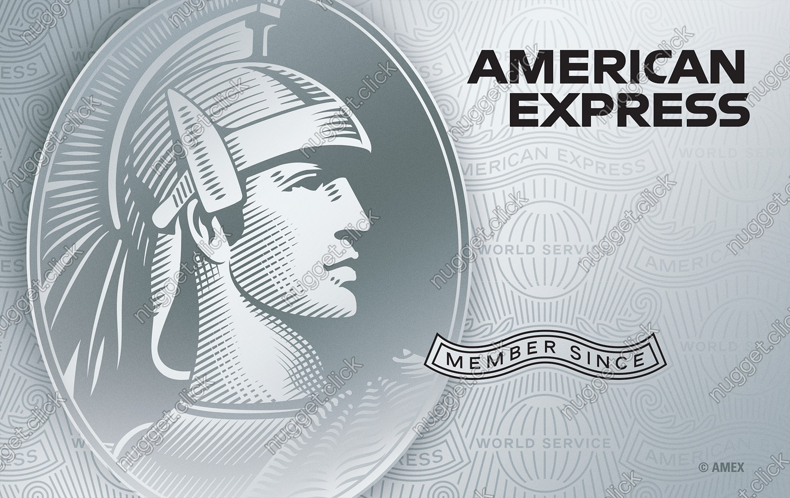 American Express Platinum Credit Card
