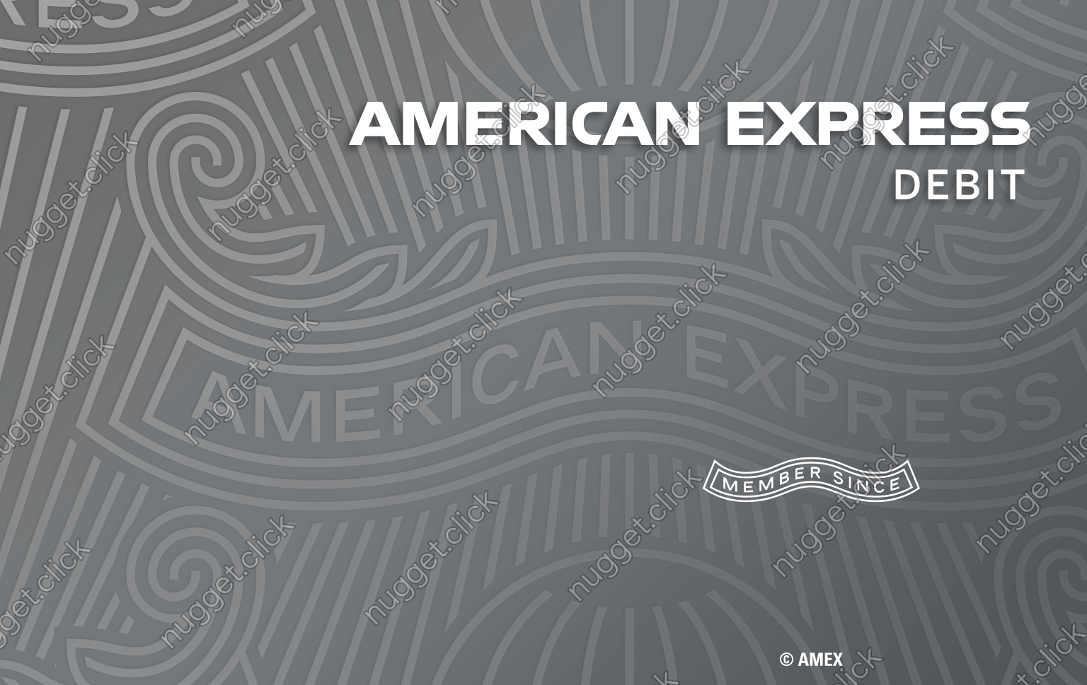 American Express Rewards Checking Card