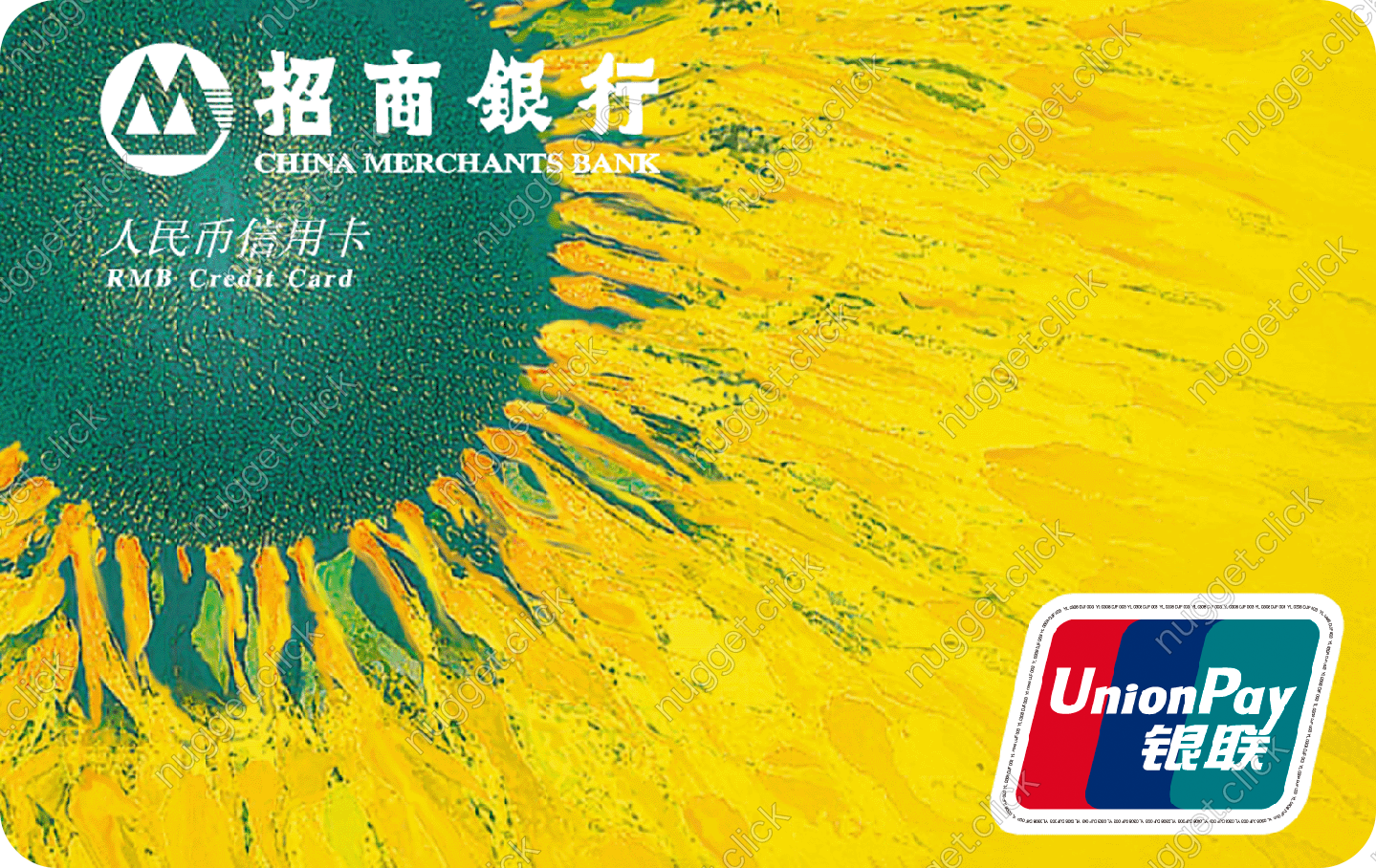 招商银行 VISA双币普卡