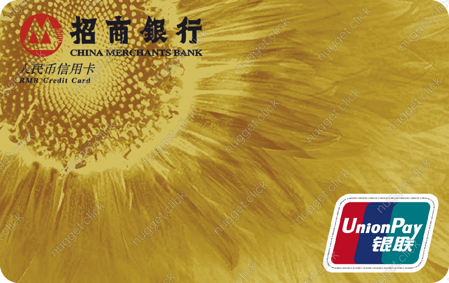 招商银行 VISA双币金卡