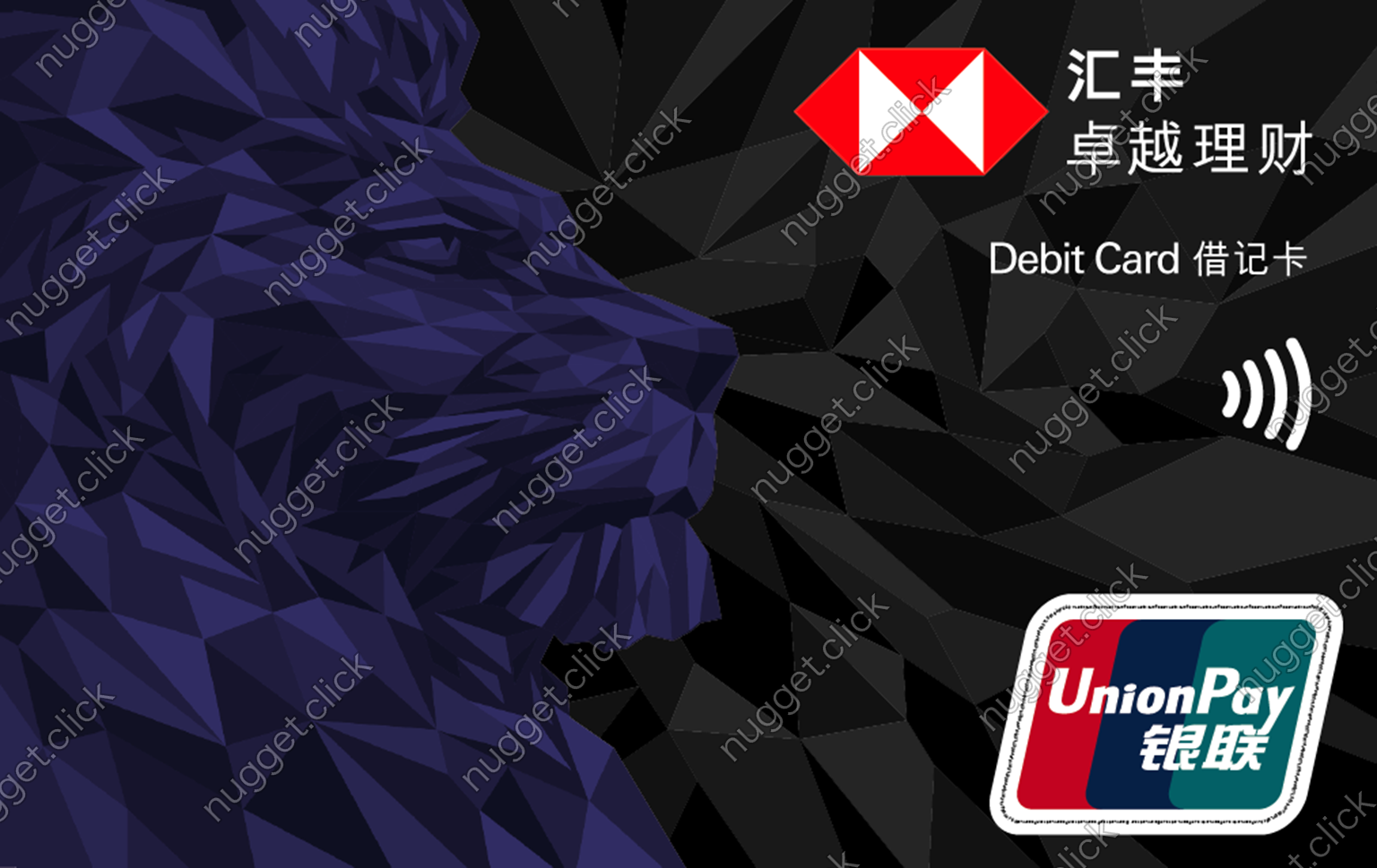 汇丰银行 (中国) 汇丰银行（中国）卓越理财借记卡