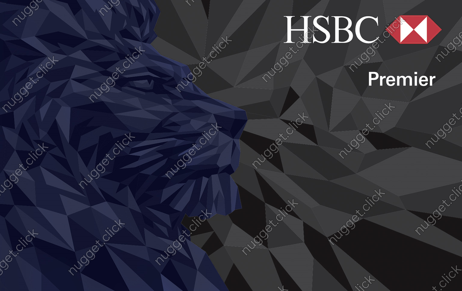 香港上海滙豐銀行 HSBC Premier ATM Card 滙豐卓越理財自動櫃員機卡