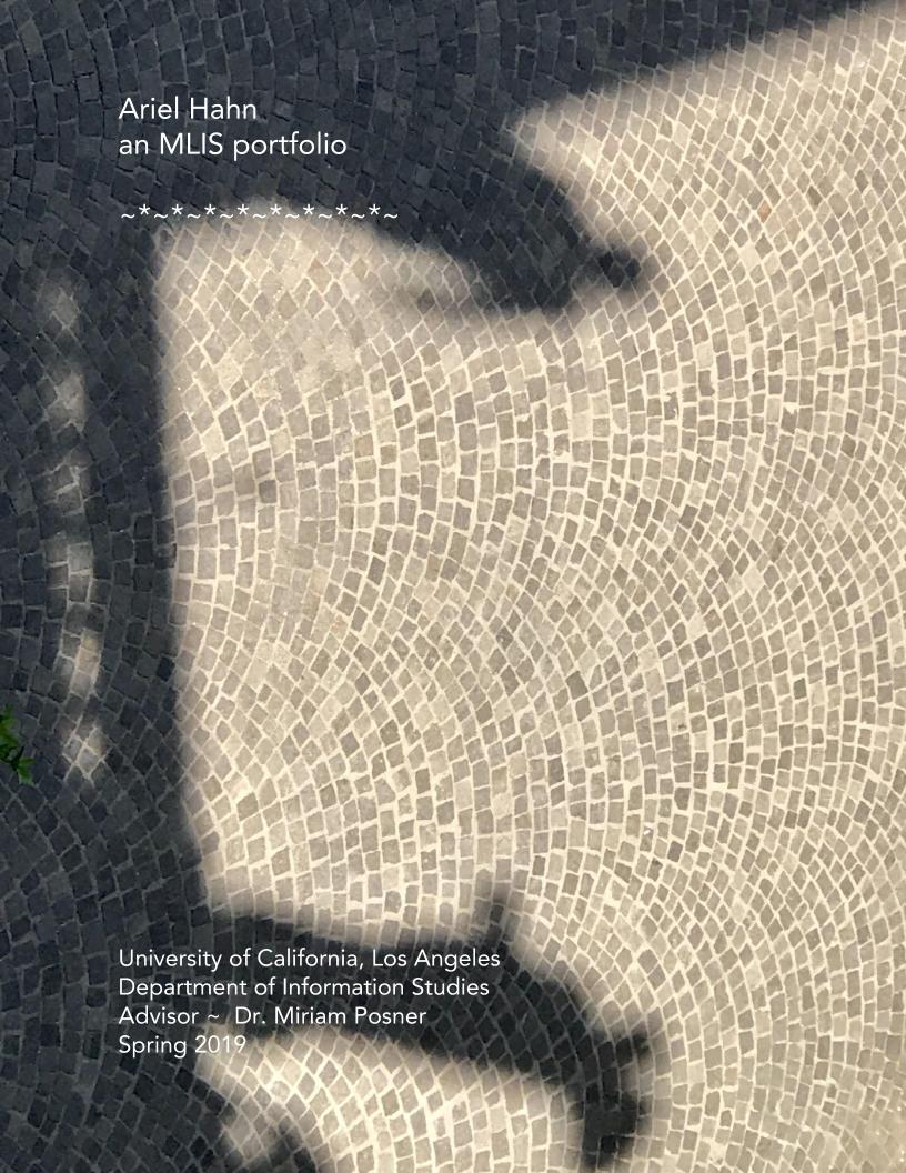 A cover page depicting the shadows of two architectural human figures against arch-like cobblestones that are brown-in tone.