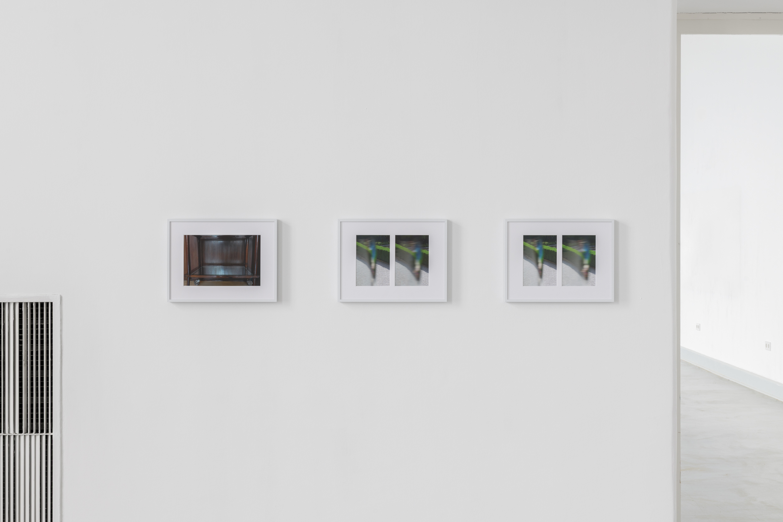 Aisha Altenhofen, The Carrier at UdK Berlin: Detailed view of three symmetrical works, including near-identical garden views and a photograph taken through a wooden mid-century serving trolley.