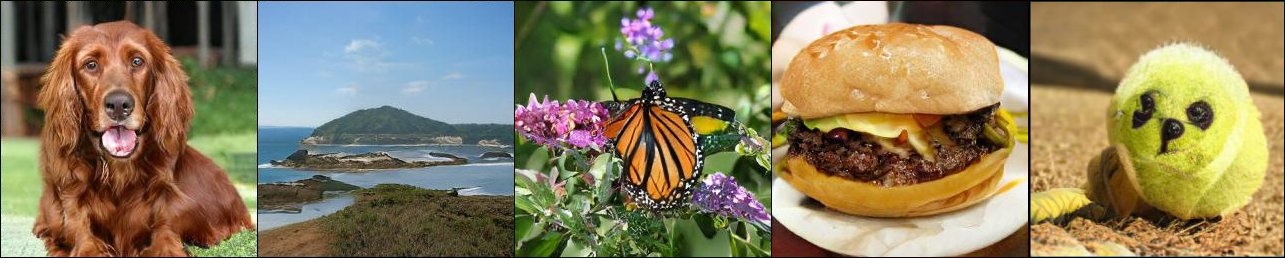 Dogball? Dogball! Dogball? Dogball!