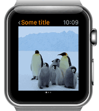 Apple Watch Pagination