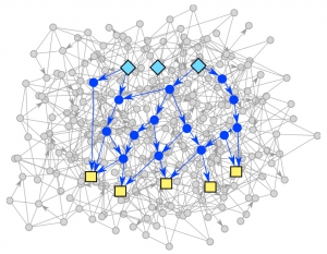 An image of a signaling pathway