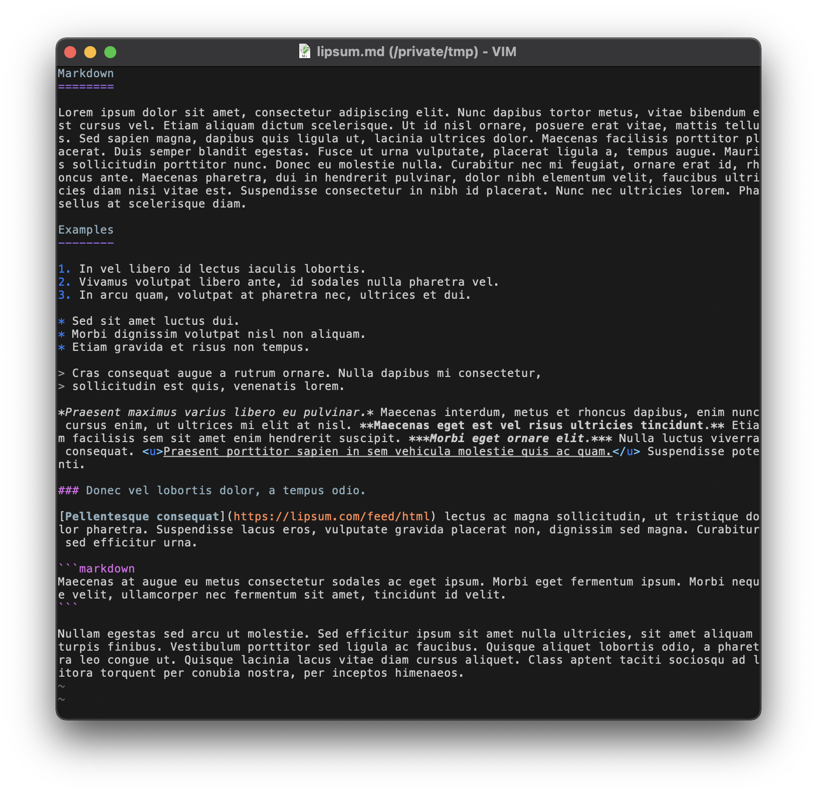 Screenshot of Markdown code.