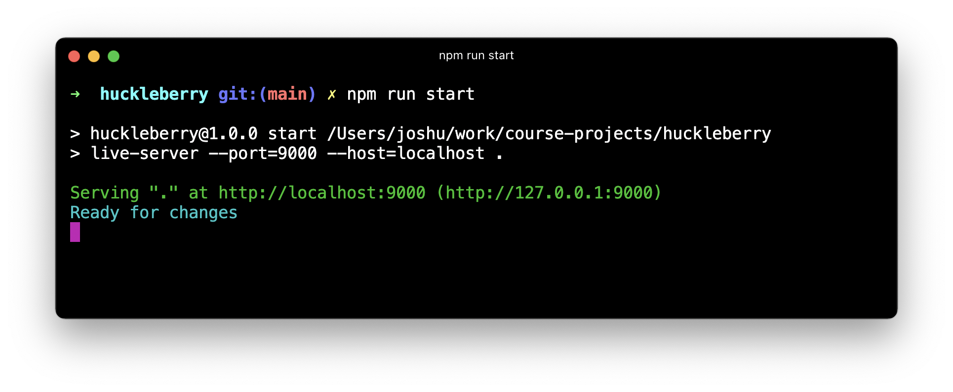 Screenshot of a terminal, showing a server running at http://localhost:9000
