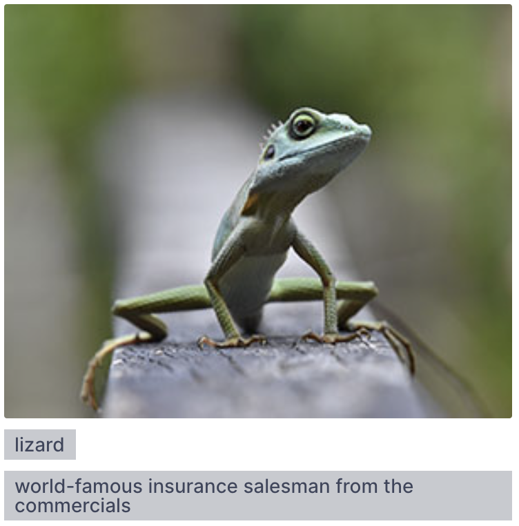 Screenshot from the app, showing a lizard with a particlarly long tag