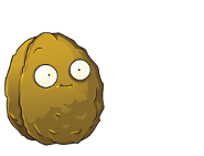 Wall-nut